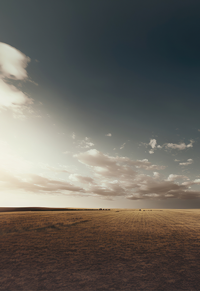 piece of land